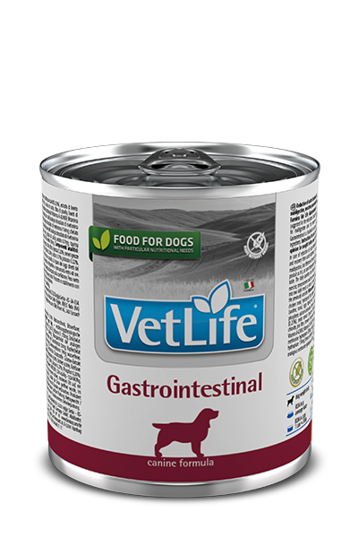 Farmina Vet Life Gastrointestinal 300gr Cane