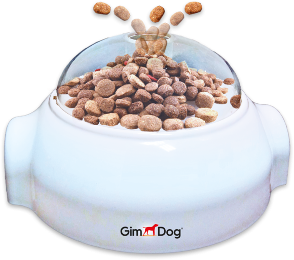 Gimborn Gimdog Push N-Pop 7