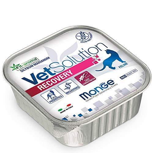 Monge Vet Solution Recovery 100gr