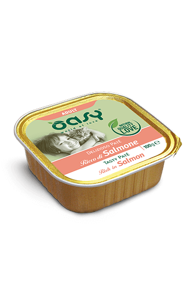 Oasy Delizioso Patè Salmone Umido Gatto 100 Gr