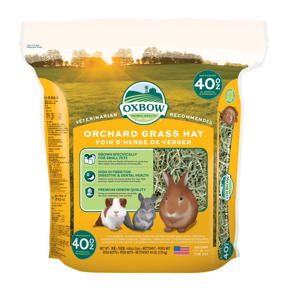 Oxbow Orchard Grass Hay Fieno per Piccoli Animali - 1,13 Kg