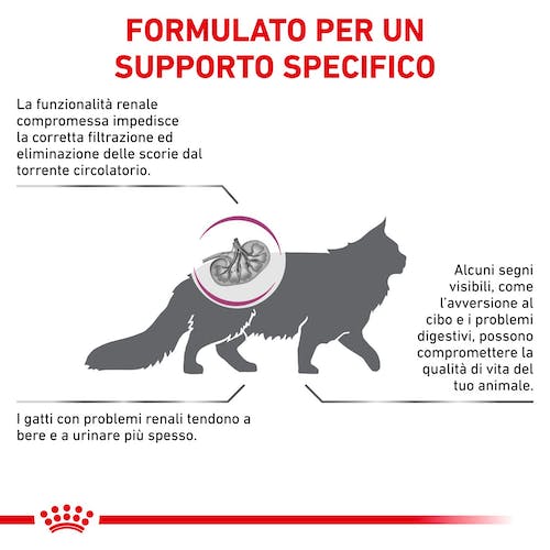 Royal Canin Veterinary Diet Renal Special 2 Kg