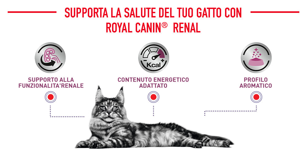 Royal Canin Renal Pollo 12x85gr