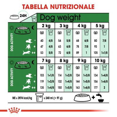 Royal Canin Mini Adult 8+ 2kg