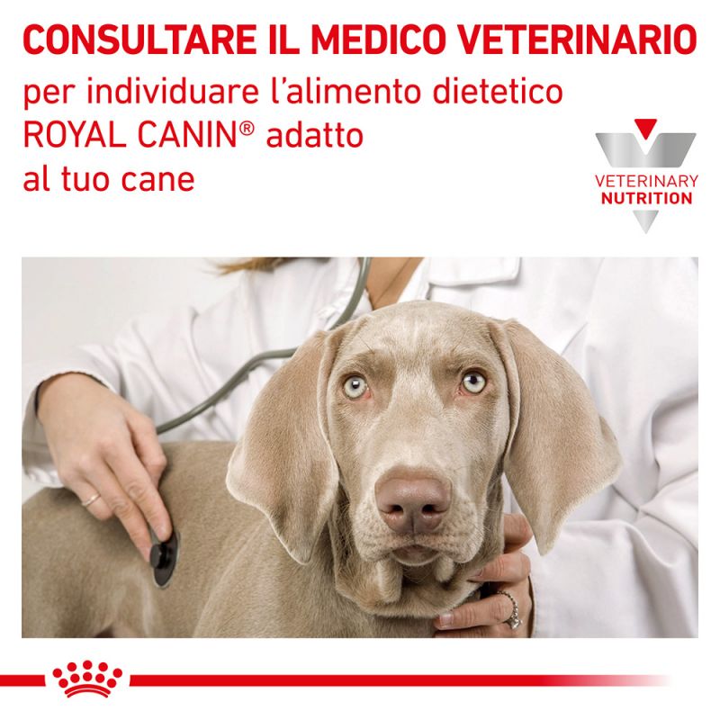 Royal Canin Puppy Gastrointestinal Canine Veterinary Mousse umido per cani 12x195gr