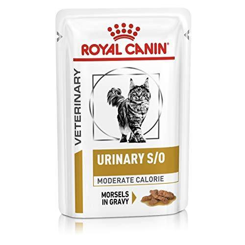 Royal Canin Veterinary Diet Urinary S/O Moderate Calorie 12 Bustine 85 gr