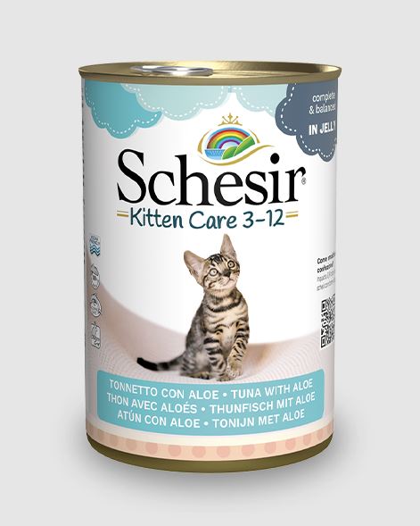 Schesir Kitten Kitten Tonnetto con aloe lattina 140 g