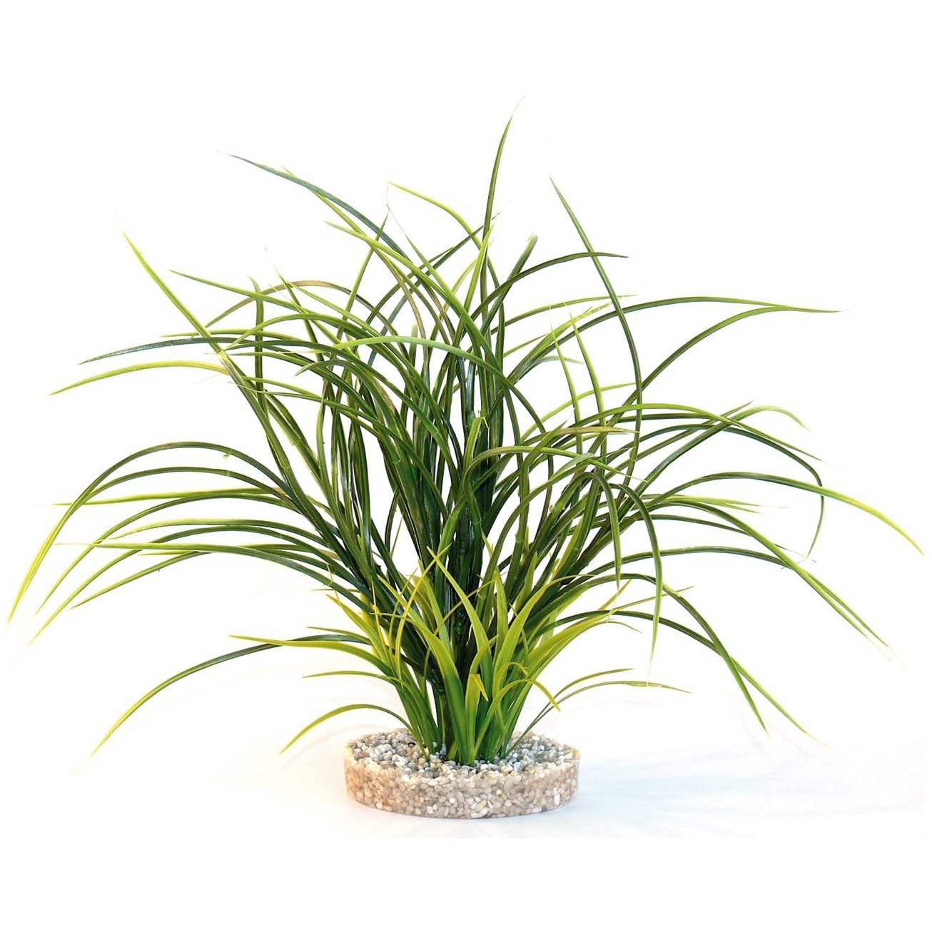 Sydeco-Erba naturale delle piante, 30 cm (confezione da 6)