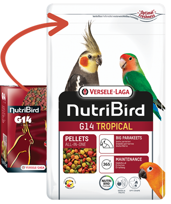 Versele-Laga Nutribird G14 Tropical 1Kg Alimento completo per parrocchetti